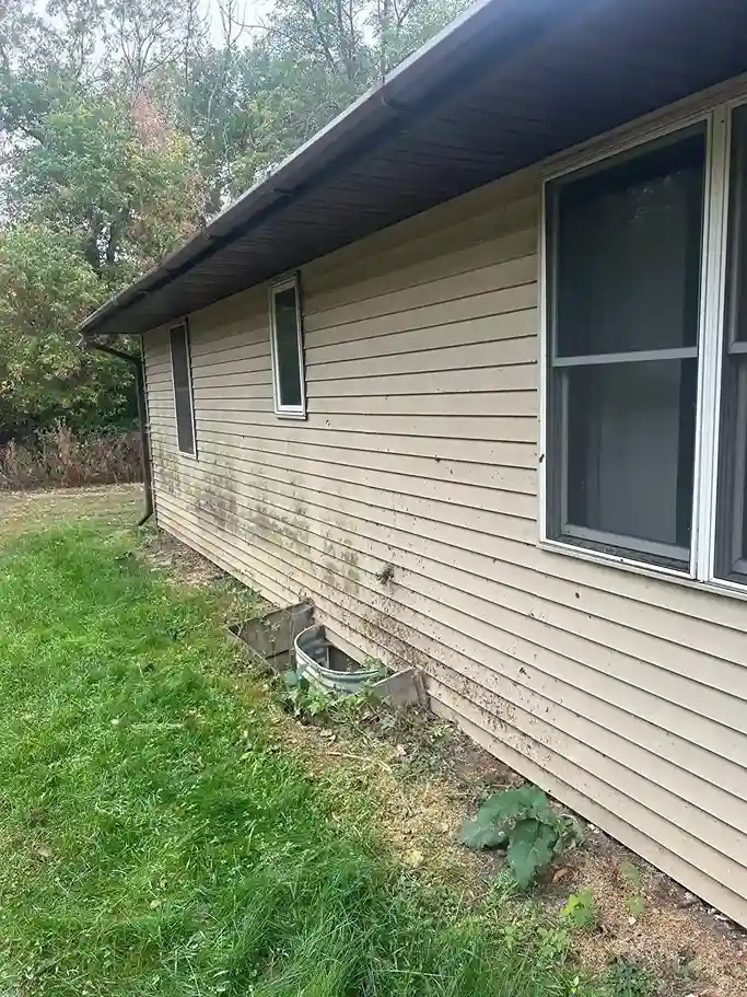 Exterior home siding algae and mildew treatment with eco-friendly wash in Morris MN