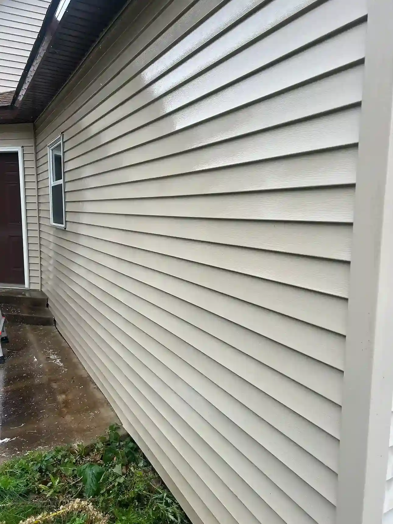 Soffit, fascia, and roofline soft washing removing spider webs and dirt